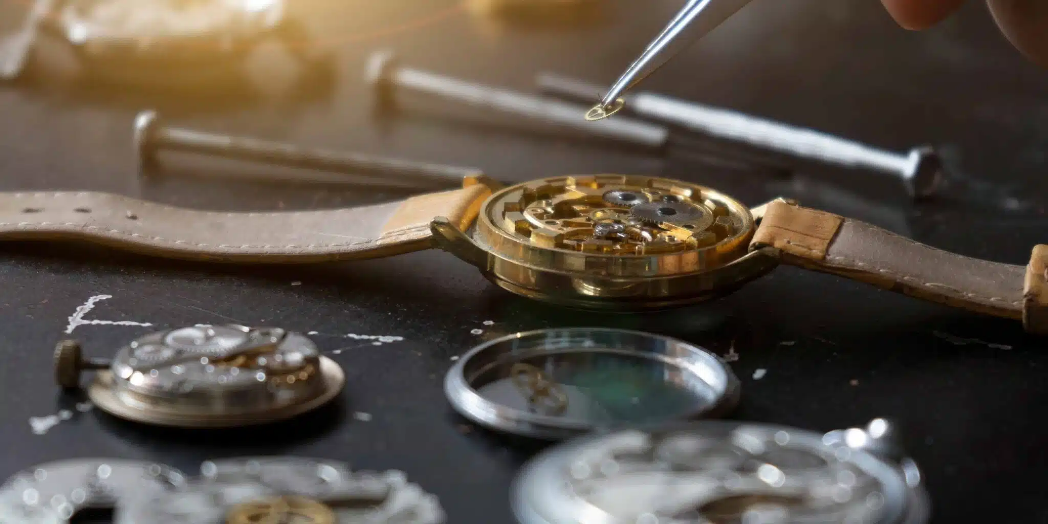 Watch maintenance tips online