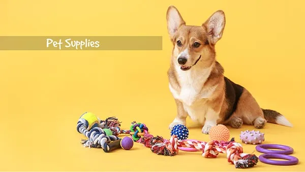 Seasonal Pet Gear