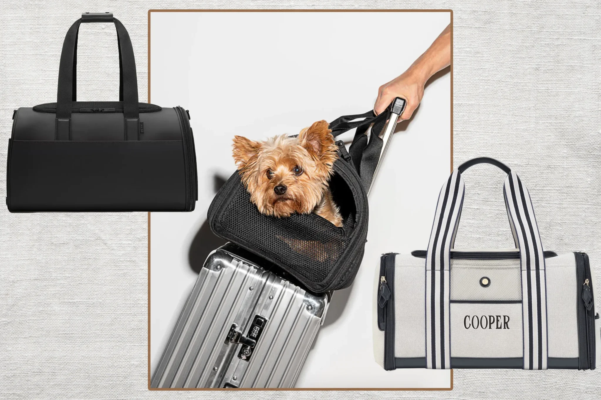 best pet carriers for air travel