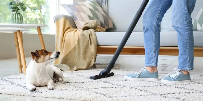 Pet-safe cleaning supplies